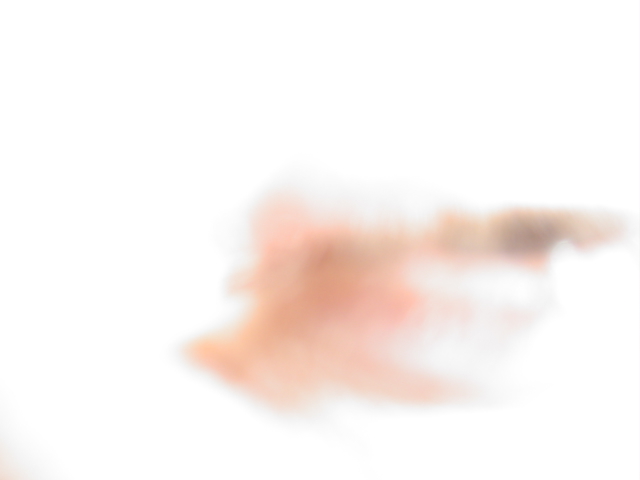 DSC01244.JPG