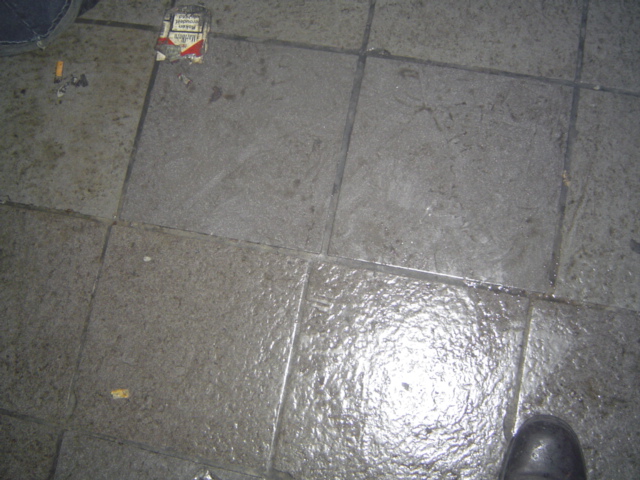 DSC01273.JPG