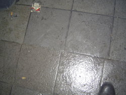 DSC01273.JPG