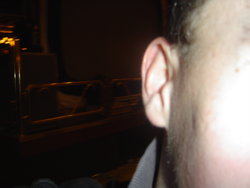 DSC01363.JPG