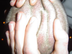 DSC00825.JPG