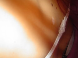 DSC01016.JPG