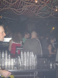 DSC00487.JPG