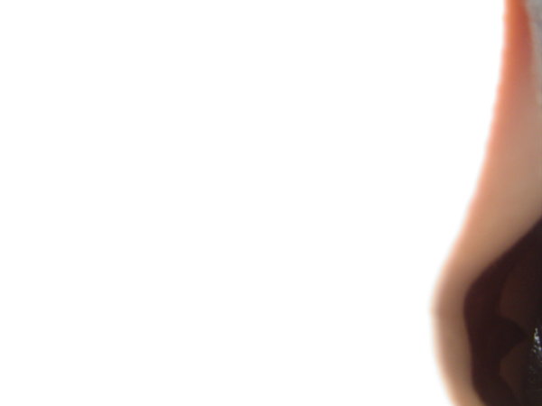 DSC01231.JPG