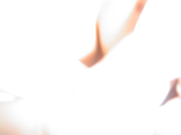DSC01114.JPG