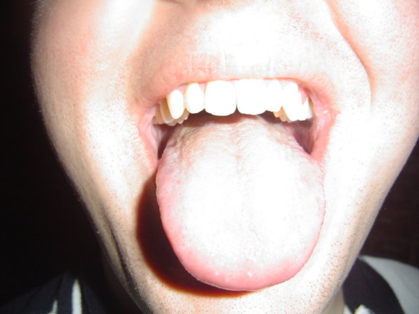 DSC00812.JPG