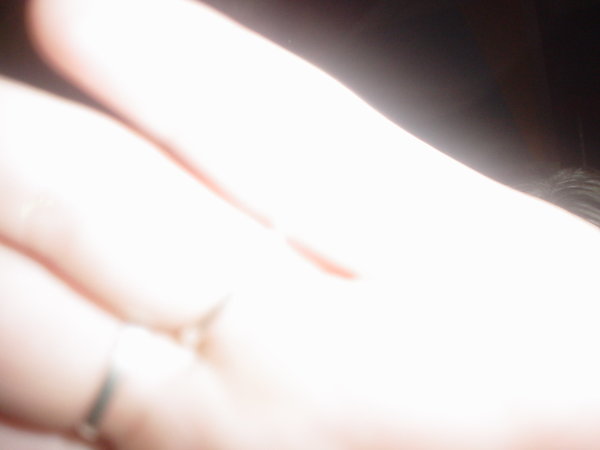 DSC04272.JPG