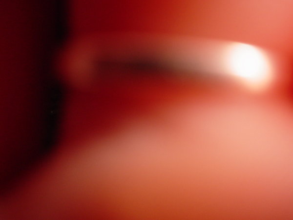 DSC03315.JPG