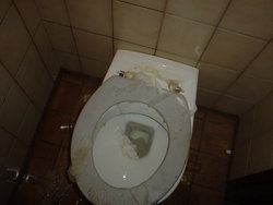 DSC03555.JPG