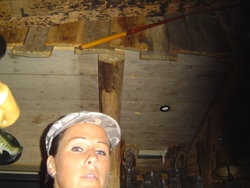 DSC05302.JPG