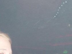 DSC03130.JPG