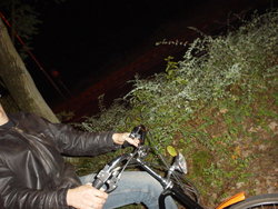 DSC03193.JPG