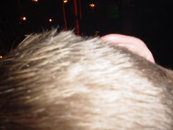 DSC02872.JPG