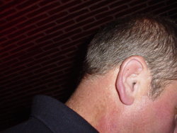 DSC02969.JPG