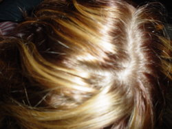 DSC02488.JPG