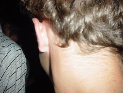 DSC02061.JPG