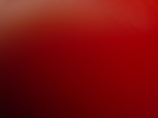 DSC02087.JPG