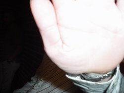 DSC02265.JPG