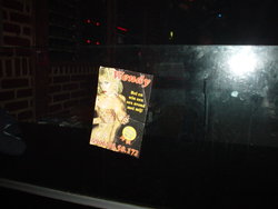 DSC01797.JPG