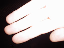 DSC01814.JPG