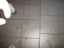 DSC01930.JPG