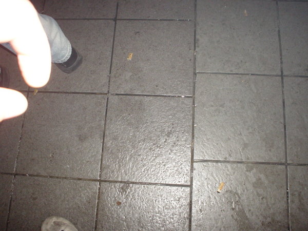 DSC01930.JPG