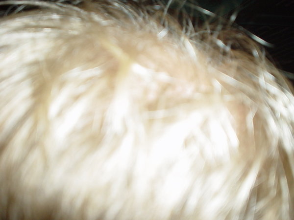 DSC01955.JPG