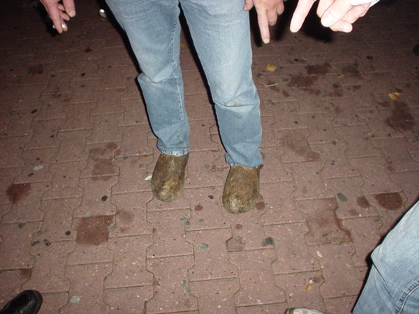DSC01977.JPG