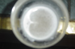 DSC05469.JPG
