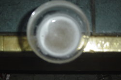 DSC05470.JPG