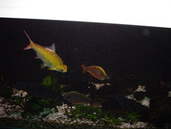 DSC01356.JPG