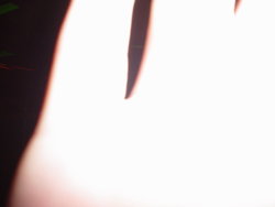 DSC01427.JPG