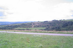 DSC00051.JPG