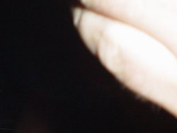 DSC01082.JPG
