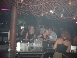 DSC01137.JPG