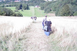 DSC00071.JPG