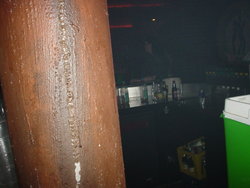 DSC00834.JPG