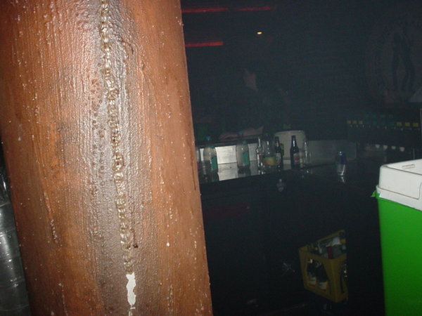 DSC00834.JPG