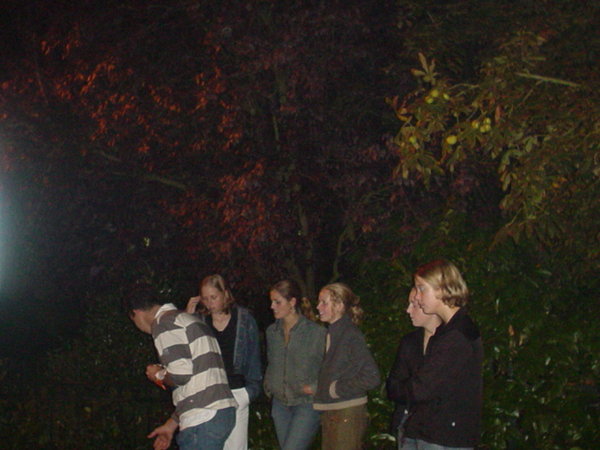 DSC00909.JPG