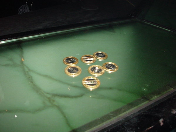 DSC00428.JPG