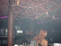 DSC00251.JPG