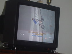 DSC00980.JPG