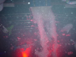 DSC04362.JPG