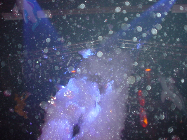 DSC04479.JPG