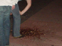 DSC04323.JPG