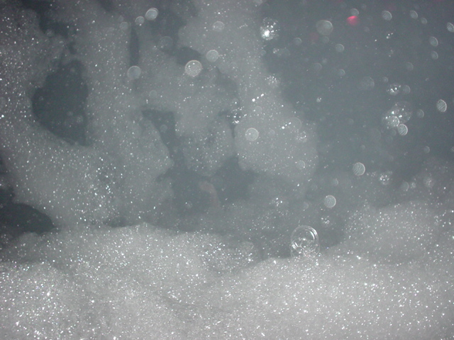 DSC03019.JPG