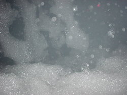 DSC03019.JPG
