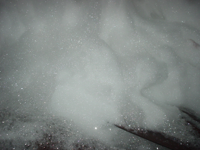 DSC03131.JPG