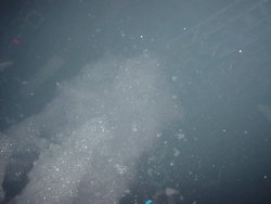 DSC03171.JPG