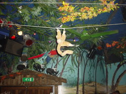 DSC02386
